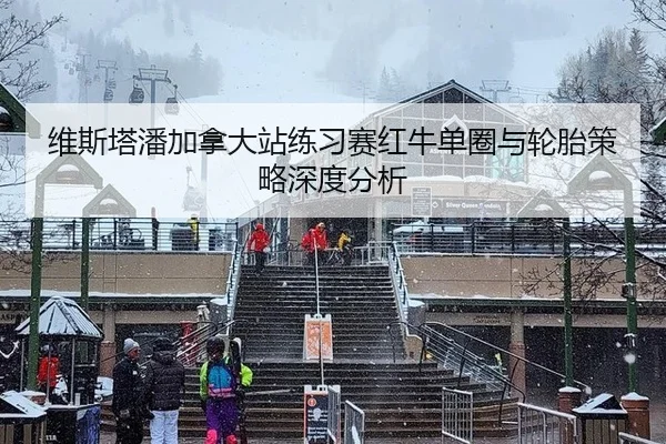 维斯塔潘加拿大站练习赛红牛单圈与轮胎策略深度分析